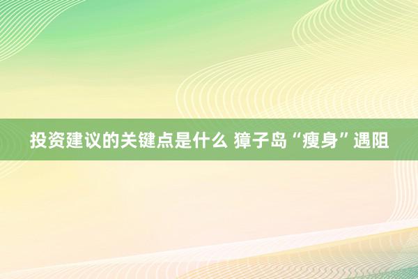 投资建议的关键点是什么 獐子岛“瘦身”遇阻