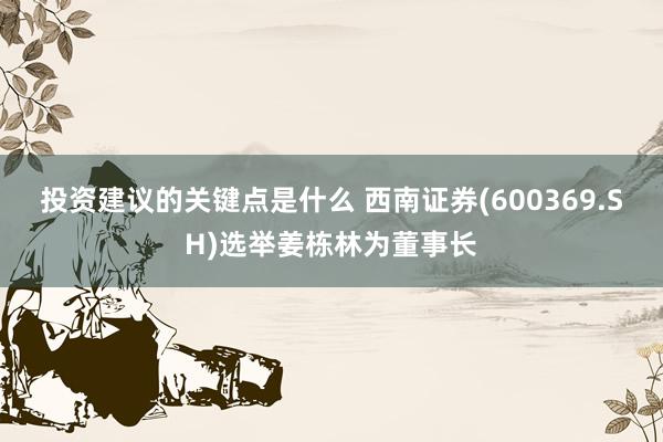 投资建议的关键点是什么 西南证券(600369.SH)选举姜栋林为董事长