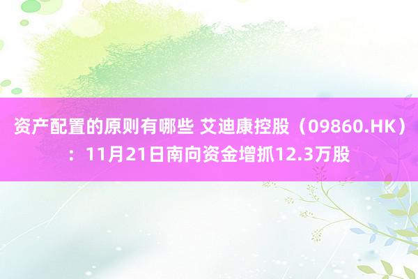 资产配置的原则有哪些 艾迪康控股（09860.HK）：11月21日南向资金增抓12.3万股