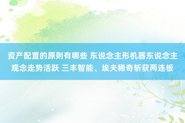 资产配置的原则有哪些 东说念主形机器东说念主观念走势活跃 三丰智能、埃夫稀奇斩获两连板