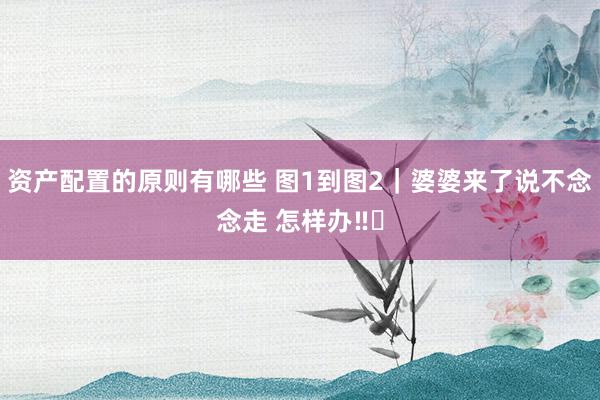 资产配置的原则有哪些 图1到图2｜婆婆来了说不念念走 怎样办‼️