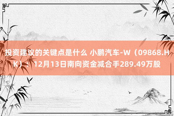 投资建议的关键点是什么 小鹏汽车-W（09868.HK）：12月13日南向资金减合手289.49万股