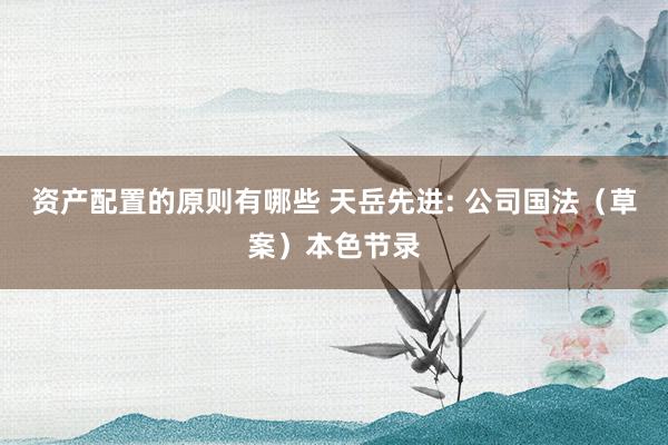 资产配置的原则有哪些 天岳先进: 公司国法（草案）本色节录