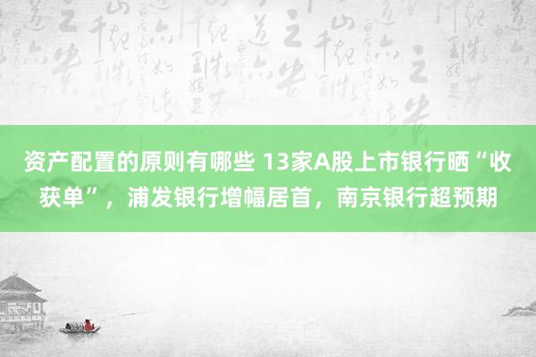 资产配置的原则有哪些 13家A股上市银行晒“收获单”，浦发银行增幅居首，南京银行超预期